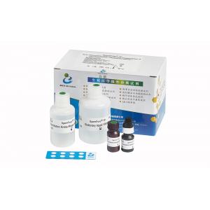 Serum Assay Anti Mullerian Hormone Test Kit AMH CLIA Kit For Adult Females