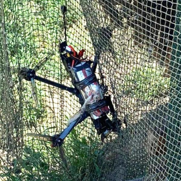 China Сеть изготовленной на заказ ручки ячеистой сети гриля барбекю ББК не- многоразовая для рыб wholesale