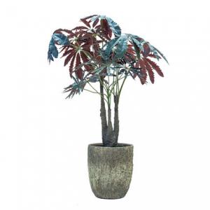 China Peacock Wood Artificial Tropical Tree Potted Plant Indoor Window Office Floor Decoration supplier