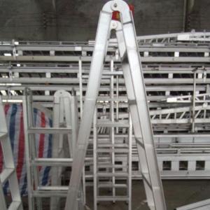 China Stainless Steel Telescopic Folding Ladder supplier