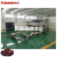 China Hygienic Complete Juice Production Line Processing Machine For Juice Filling Machine on sale