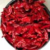 China Dehydrated Red Bullet Chilli Pods Cayenne Pepper 25000SHU Without Stem wholesale