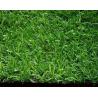 China cheap landscaping artificial grass Popular in southeast Asia wholesale