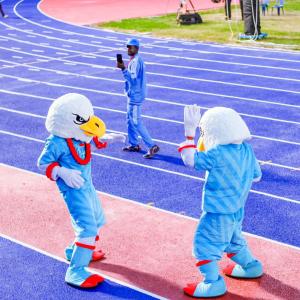 Non Toxic Sandwich Running Track , Athletic Race Track With IAAF Certification