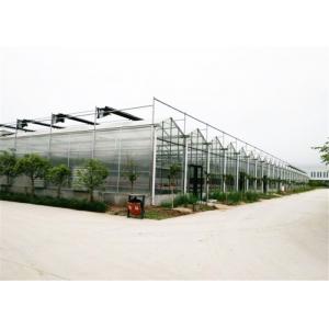 4mm / 5mm Glass Covering Glass Greenhouse Kit , Forest Garden Greenhouse For Seed Breeding