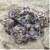 China Облегченная отполированная кость облегченное GST кости RPG края polyhedral универсальная wholesale