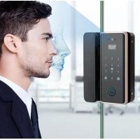 China 3D Face Digital Smart Glass Door Lock Tuya Fingerprint Password IC Card Access on sale