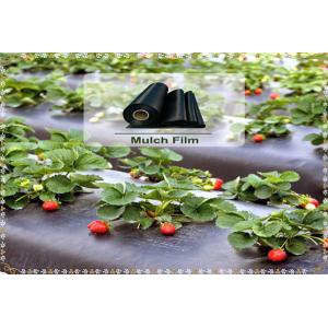 Black/ Silver Color Agricultural Film  Plastic Mulch Film For Agricultural & Gardening