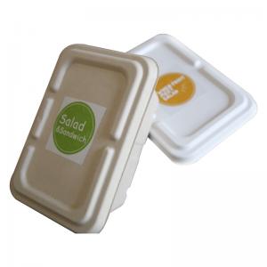 Recycled Compostable Sugarcane Bagasse Food Container Disposable Plant Pulp