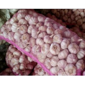 China Fresh Garlic Packing Pp Fruit Pink Mesh Drawstring Bag Made of 100% PP/PE Material supplier