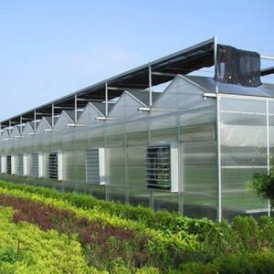 Advanced Greenhouse with Glass Walls Wind Resistance and Temperature Resistance in One