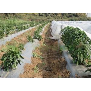 China Vegetable Cover Agriculture Non Woven Fabric Lightweight Non Toxic OEM Available supplier