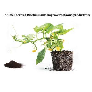 Improve Quality And Productivity Amino Acids Fertilizer For Fruit Use
