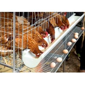 Egg Layer Chicken Battery Cage , Farm Laying Hens Poultry Layer Cage System