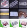 custom clear blister plastic high quality food packaging trays for Cherry Tomato