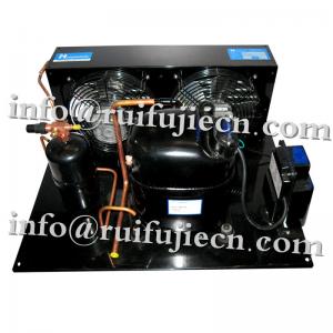 Low noise 2HP Air cooled Tecumseh condensing unit FH4525Y ,  temperature between -30 degree to 5 degree