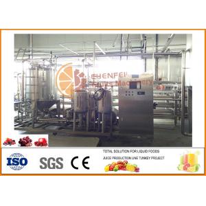 China 10T/H 1Year Warranty  Raspberry soft drink production line supplier