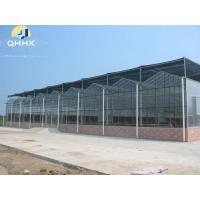 China Modern Agricultural Steel Buildings Customized Steel Structure Greenhouse on sale