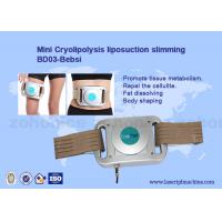 Mini Home Use Beauty Device Cryolipolysis Freeze Fat Pads Machine Cryotherapy Machine