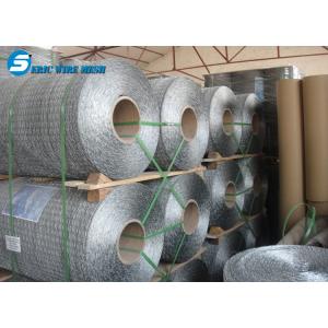 China eric PVC coated 2.5mm / 3.2mm anti-bird wire mesh / hexagonal wire mesh ( manufacturer & ISO made in china from dingzho supplier
