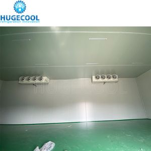 China R507 Refrigerant Model Assembled Customized Design Cold Storage Freezer Room for Food Processing wholesale