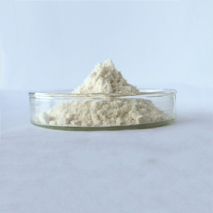 China wholesale rheumatism capsule root extract baikal skullcap in bulk supplier