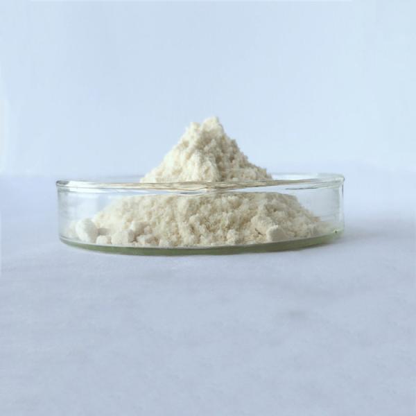 wholesale rheumatism capsule root extract baikal skullcap in bulk