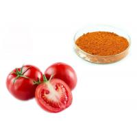 China 6% 10% 20% Lycopene 502-65-8 Dehydrated Tomato Fruit Extract on sale
