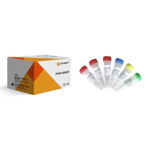 China ORF1ab e o teste rápido SARS-COV-2 RT-QPCR do PCR dos genes de N analisam a fluorescência tripla supplier
