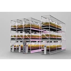 Static / Mobile Hydroponic Ebb And Flow Tables 4*8ft 4*16ft 4*24ft