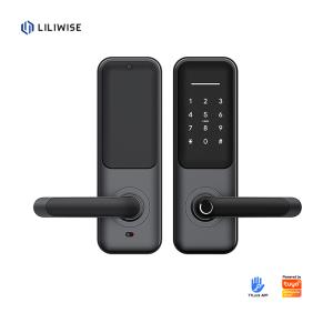 China Smart Digital Door Lock with Biometric Fingerprint 35-75mm Door Thickness Multiple Unlock Methods and Cloud Storage wholesale