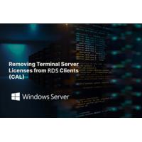 China Windows Server 2022 Remote Desktop Service 50 User Connections cal license on sale