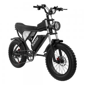 China 25MPH 20 Electric Fat Tyre Mountain Bike Urban City Electric Bicycles 48V20AH supplier