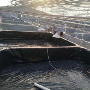 China ISO9001 Standard HDPE Geomembrane Prevent Water and Leakage with Direct Sell supplier