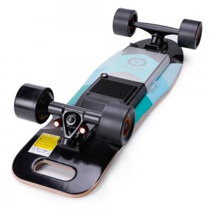 Removable Battery Longboard Electric Skateboard With 2 Hours Charge Time