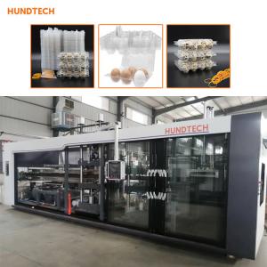 China 1.5mm Thickness Tray Forming Equipment Egg Container With Lid Thermoforming Machine supplier