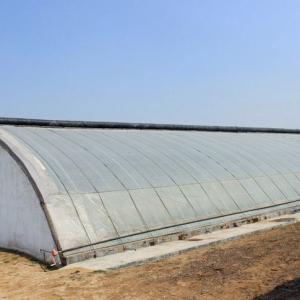 Commercial Hydroponic Greenhouse for Cucumber Planting Heating Method Temporary Heating