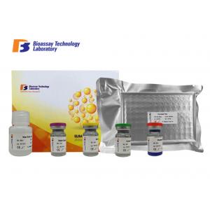 China Customized Rat ELISA Kit Mannma Binding Protein With 2 Hours Assay Time supplier
