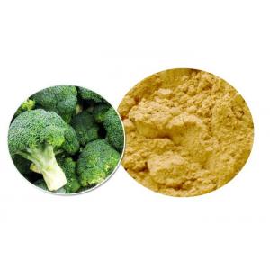 Brown Yellow Powder 100% Pure Plant Extracts , Organic Broccoli Sprout Powder ISO9001