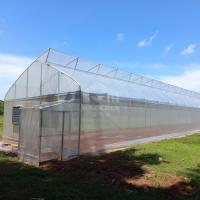 China Polytunnel Hothouse Sawtooth Top Ventilation Tunnel Greenhouse For Plant Vegetable on sale