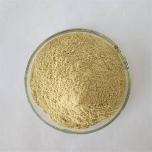 GMP Factory Detoxification Mung Bean Sprout Extract