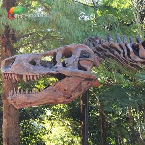 Weather Resistance T Rex Skeleton Replica