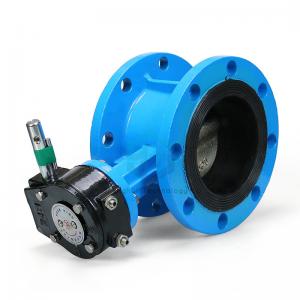 ODM PN16 Electric Motorized Valve Ductile Iron Butterfly Valve Flange Connection