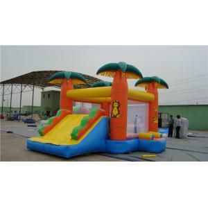 China Backyard Water Slide Bounce House , Popular Inflatable Castle Bounce House supplier