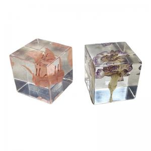 Cubic Flower Paperweight With Dandelion Inside Embed Processing