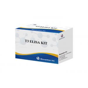 Triiodothyronine T3 Elisa Test Kit 96 Tests Elisa Blood Serum Test
