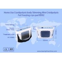 China Portable Cryolipolysis Slimming Machine Mini Body Slimming Sculpting Fat Loss Device on sale