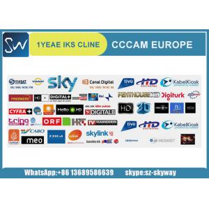 China 19.2 E cccam cline account/iks line cccam account for Europe decoder/ cline Cccam supplier