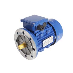China Electric 3 Phase Induction Motor With NSK bearing and B5 Foot Mountiing wholesale