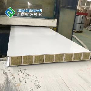 China Modern Cleanroom Wall Panel Fire Proof Pu Foam Sandwich Panel supplier